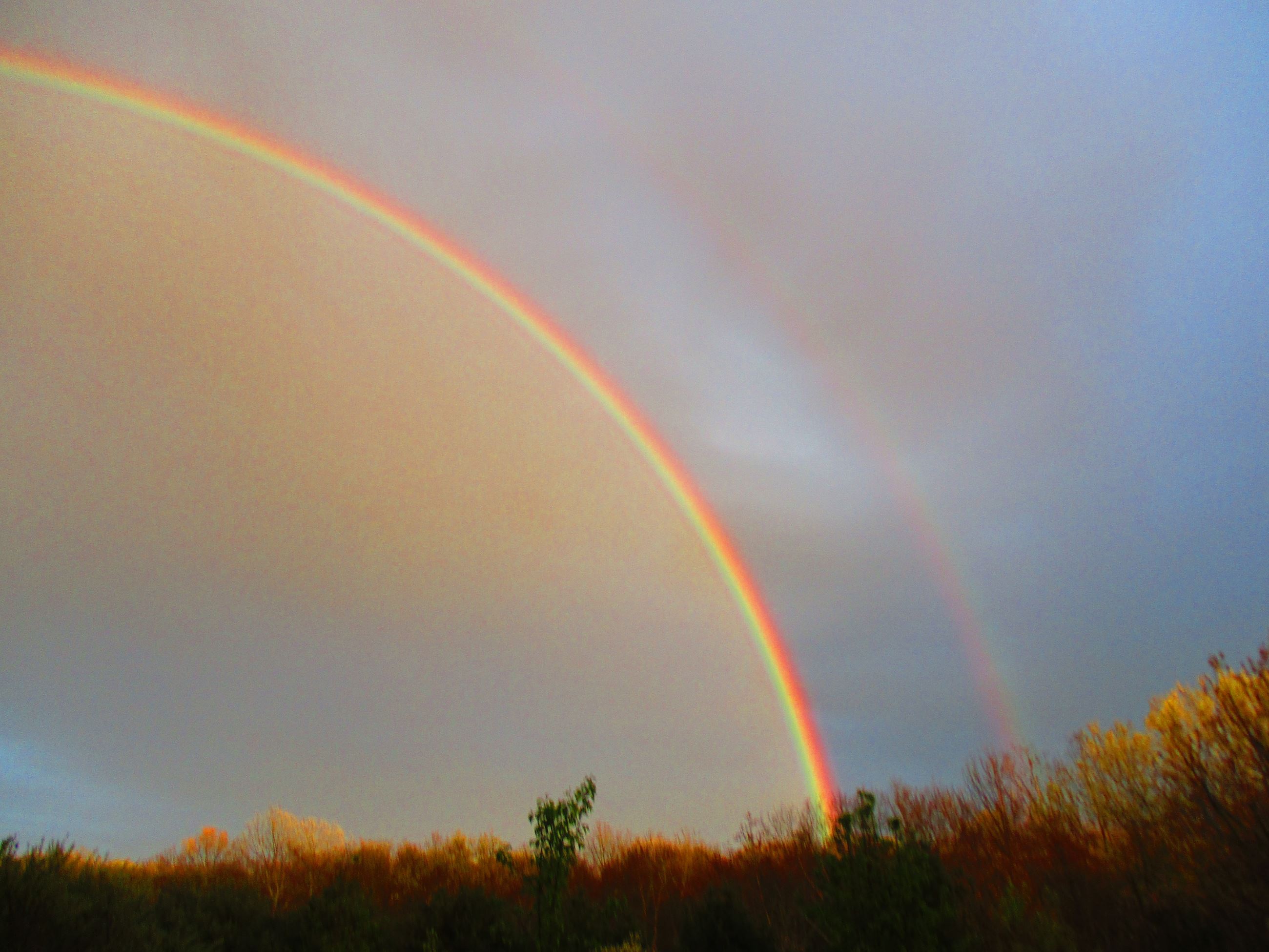 Double Rainbow
